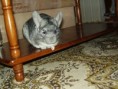 /album/fotogaleria/p7180048-jpg/