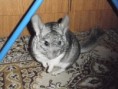 /album/fotogaleria/p1100018-jpg/
