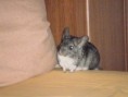 /album/fotogaleria/p1100023-jpg/