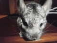 /album/fotogaleria/p1100026-jpg/